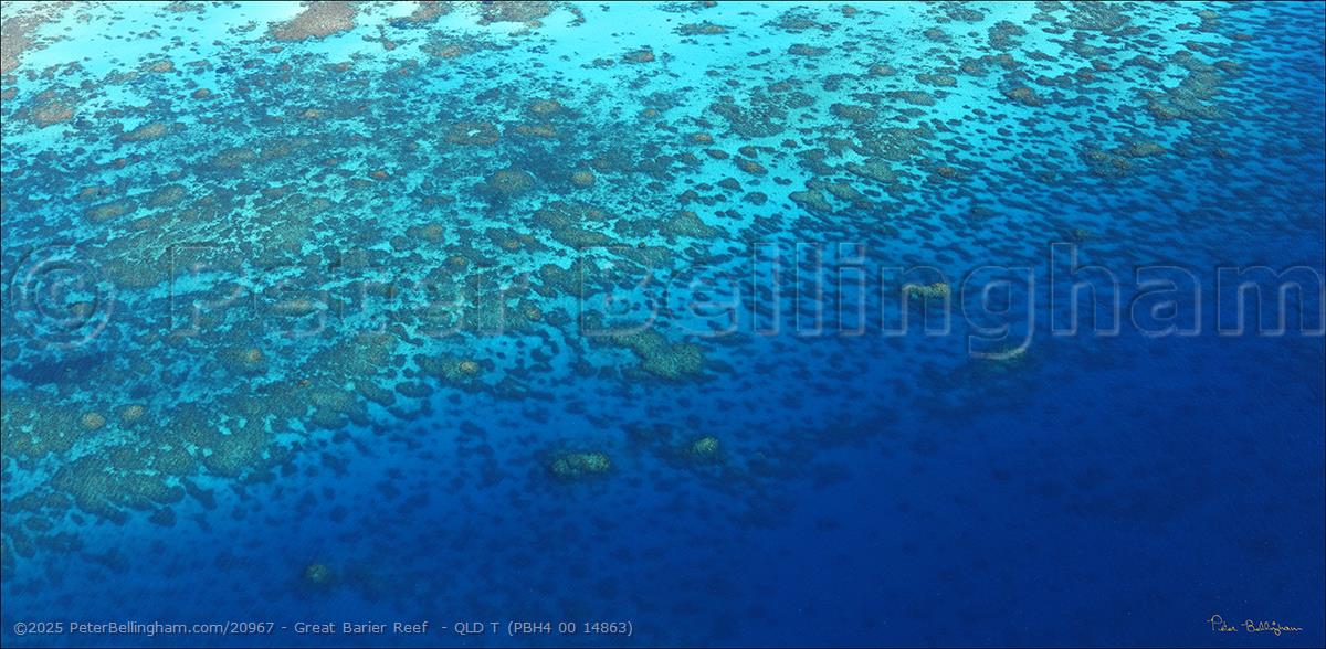 Peter Bellingham Photography Great Barier Reef - QLD T (PBH4 00 14863)